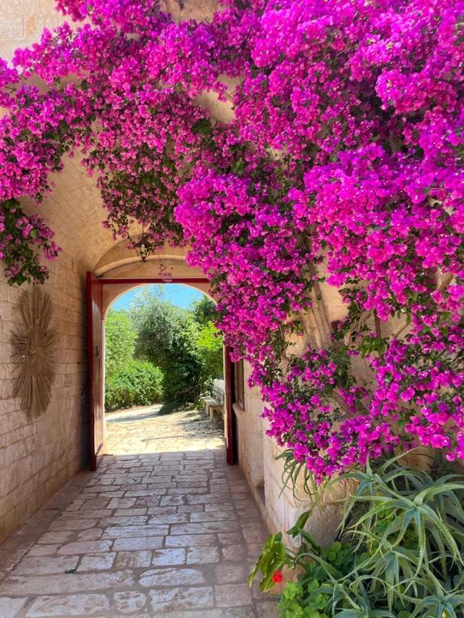 Masseria Morrone Ostuni Exteriör bild