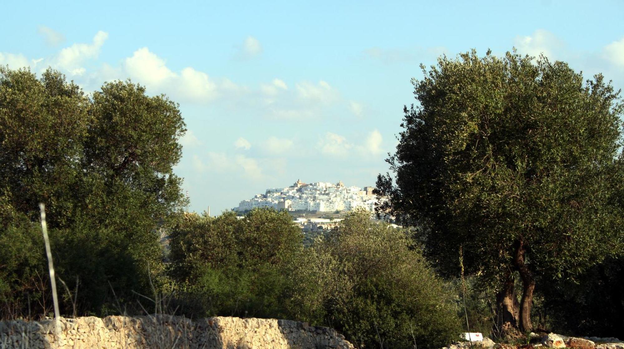 Masseria Morrone Ostuni Exteriör bild